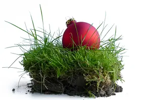 Shop Landscaper Themed Gifts » Landscaper-themed business holiday gifts for lawn and garden pros